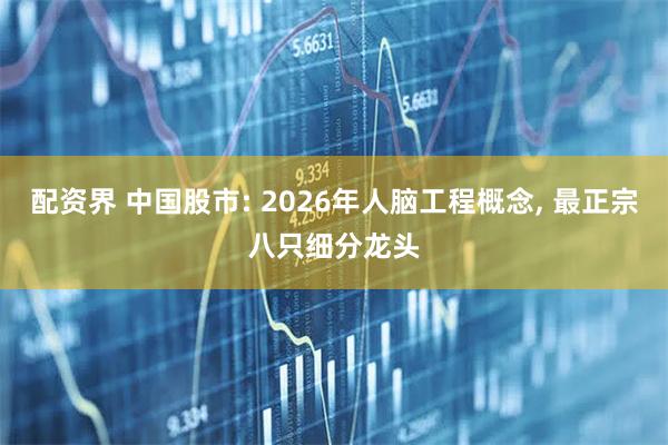 配资界 中国股市: 2026年人脑工程概念, 最正宗八只细分龙头